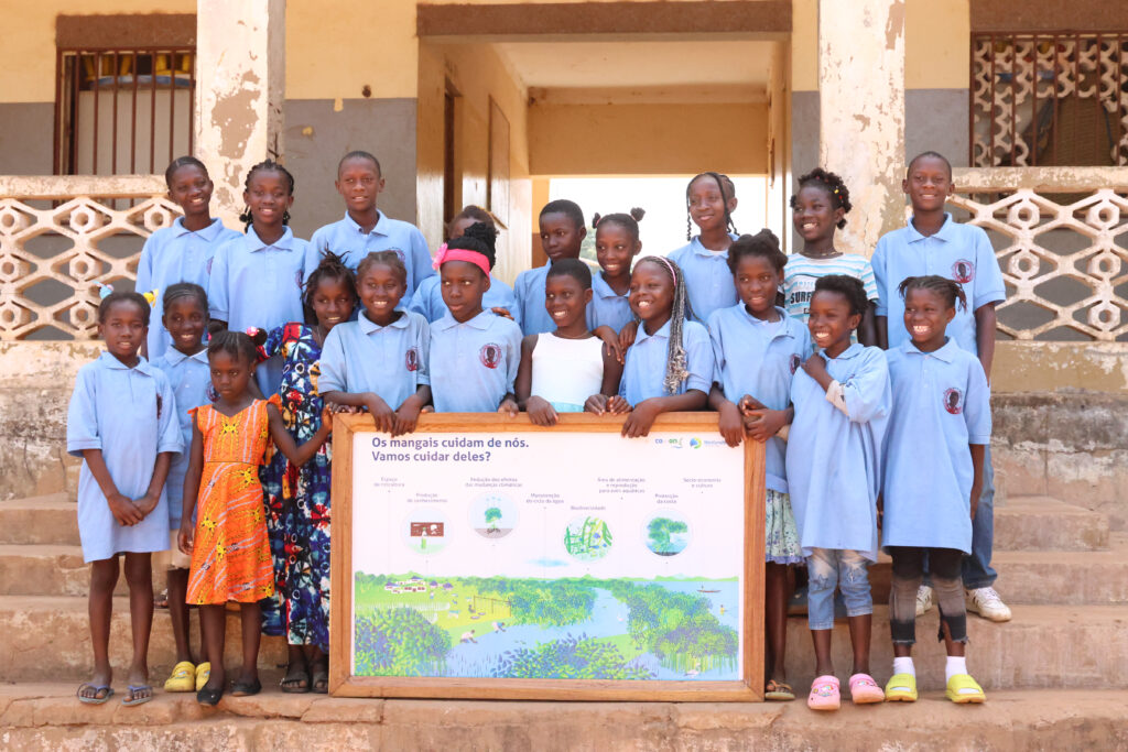 mangroves education