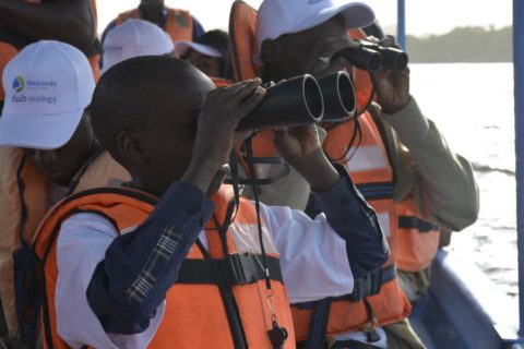 Bird watching dans le Saloum