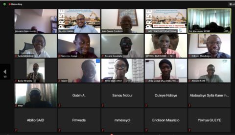 Capture d'écran online meeting lancement PRISE-2